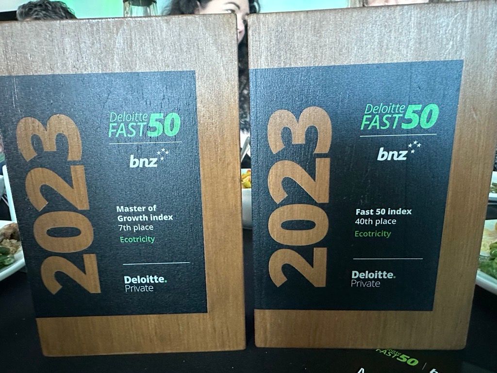 Ecotricity Wins In Two Categories At The Deloitte Fast 50! | Ecotricity NZ