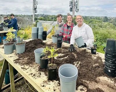 Orakei Community Garden Day with Sustainable Business Network